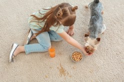 A Beginner’s Guide to Understanding Labels on Pet Food Products